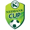 South Africa League Cup
