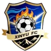 Xinyu Team