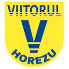 Logo ACS Viitorul Horezu