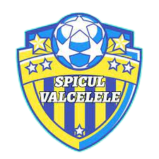 Logo AS Spicul Valcelele