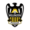Wellington Phoenix Reserve