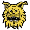 Ilves Tampere II