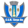 CSM Targu Jiu