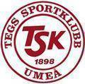 Logo Tegs SK