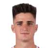 Pau Victor