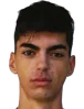 aleks stojakovic