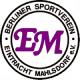 Logo Mahdov FC