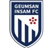 Geumsan Insam FC