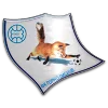 FK Gorno Lisice