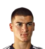 Dzemal Ibishi