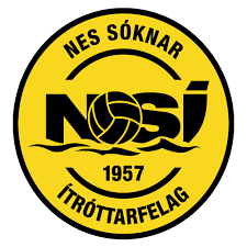 Logo NSI Runavik II