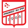 Ayvalikgucu Belediyespor