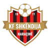 Shkendija Haracine