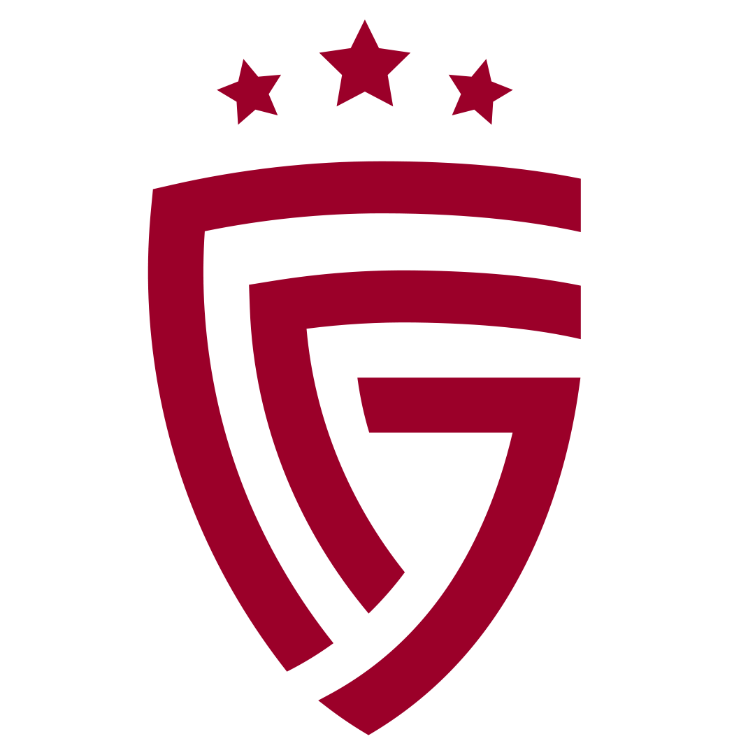 Logo Salyut-Energia Belgorod