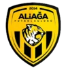 Aliaga Futbol