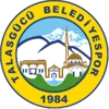 Talasgucu Belediyespor