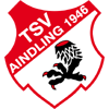 Logo TSV Aindling