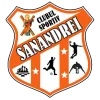 CS Sanandrei Timis