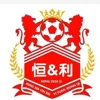 Ningxia Pingluo Hengli