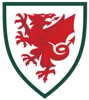 Wales U19