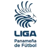 Panamanian Liga de Futbol